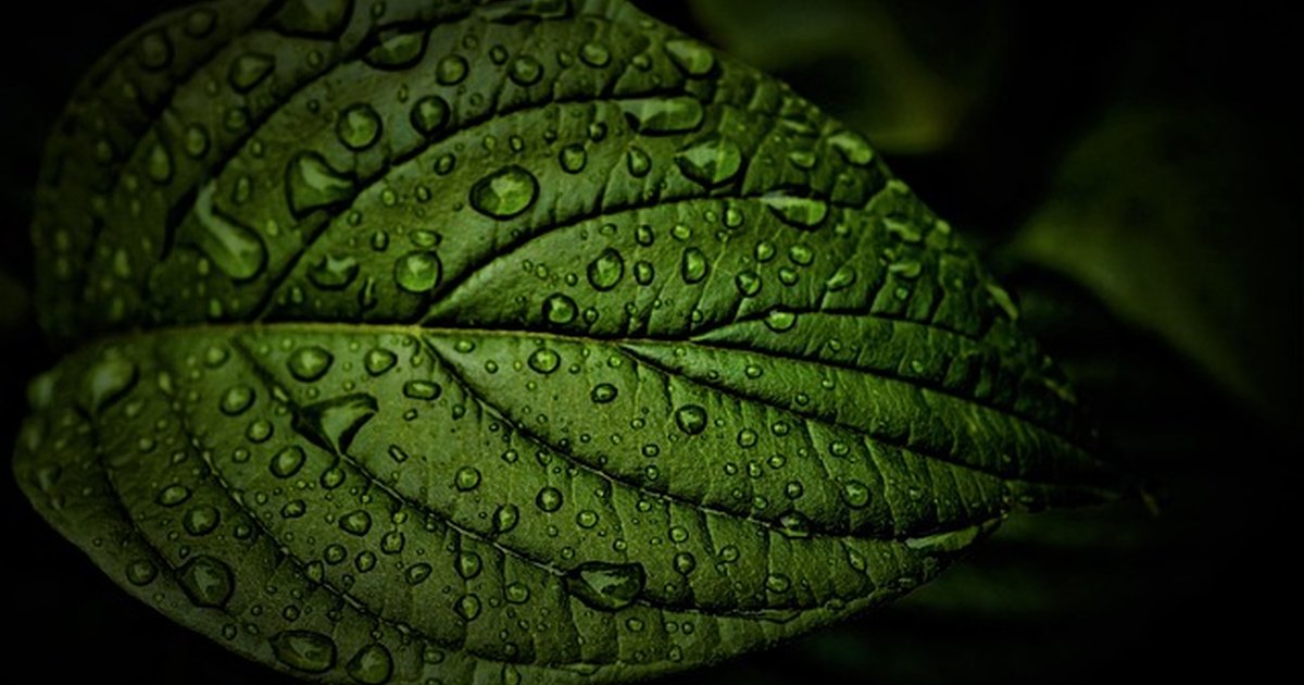 Where to find editable brief templates free: fast sources and tips